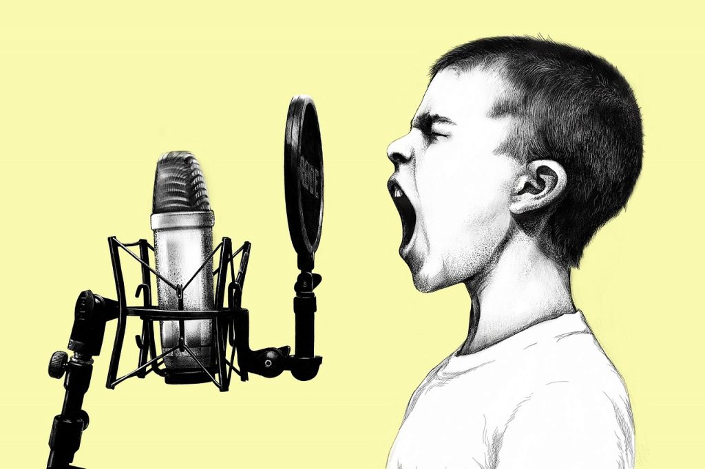 boy, microphone, scream-2844558.jpg